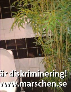 Bild  på diskrimineringen.