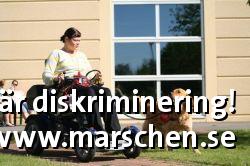 Bild på diskrimineringen.